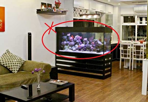 Bể cá thường được xem là vật phẩm phong thủy mang lại tài lộc, nhưng đặt dưới chân bàn thờ lại không phù hợp.