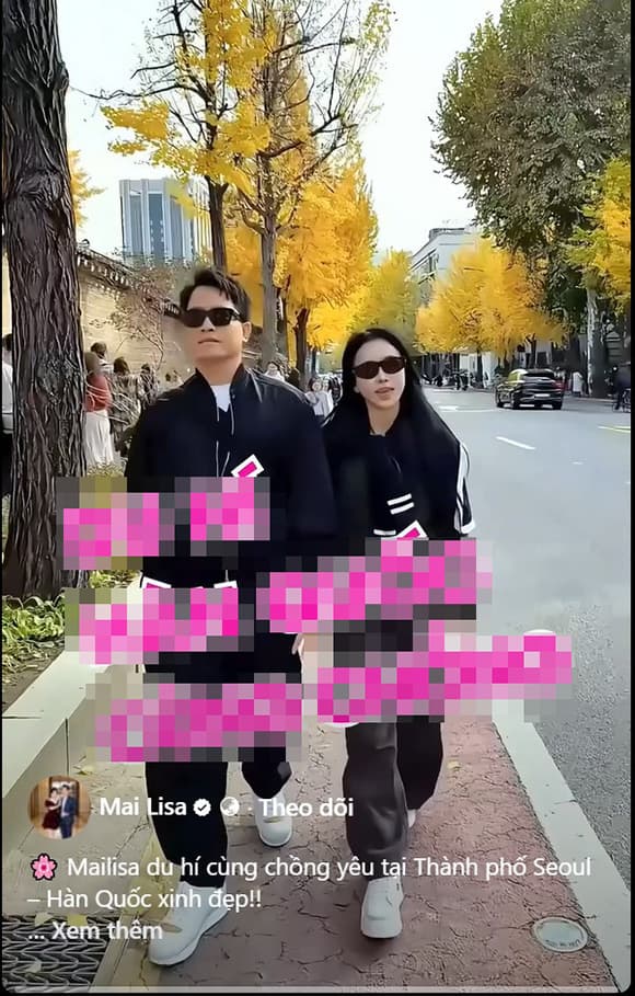 Theo các thông tin công khai, vào thời điểm lực lượng công an kiểm tra các cơ sở của Mailisa, vợ chồng bà Phan Thị Mai và ông Hoàng Kim Khánh được xác nhận đang có mặt tại Hàn Quốc.    