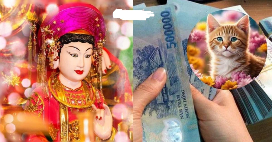 Tuổi Mão may mắn trong thời gian tới