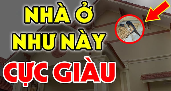 Dấu hiệu sắp giàu to