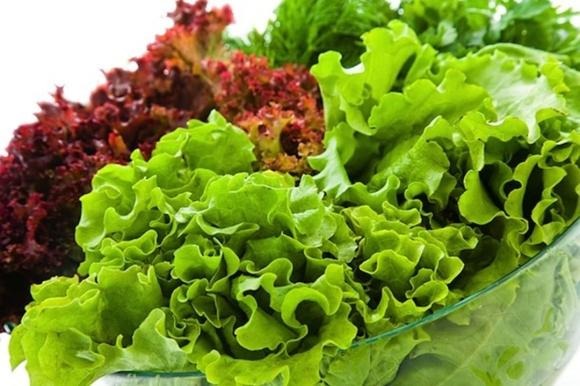Xà lách với những lá xanh mướt, giòn tan không chỉ là Shbet0099 cá cược trực tuyến quen thuộc trong bữa cơm Shbet111 slot, casino, thể thao, xổ số mà còn là thành phần không thể thiếu trong các món salad thanh mát.