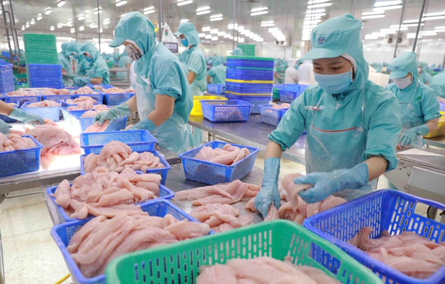 Phi lê cá ba sa Việt Nam được chế biến theo quy chuẩn cao, xuất khẩu đi hơn 100 thị trường.