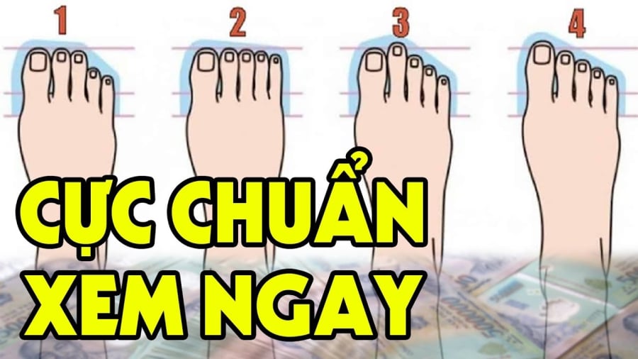 tường chân giàu có