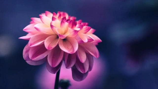 z7251562144977_229b8b5c84ba2a9bb95c0544bd384e87