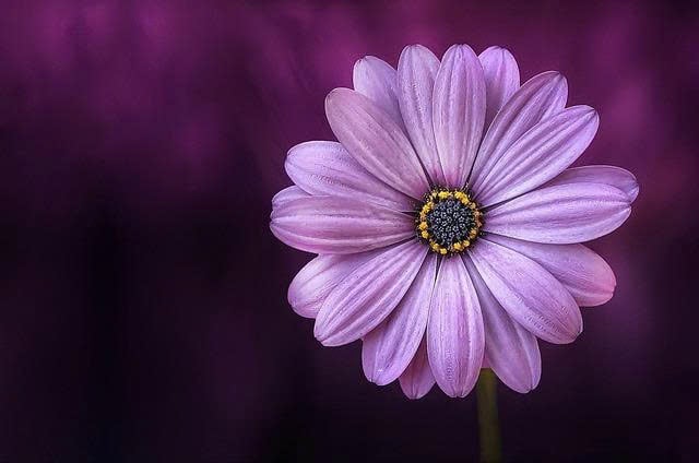z7251563004752_d40b15d62096ddfa30937c750c19bf79