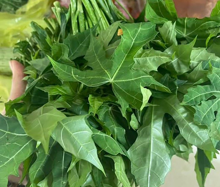Với đặc tính nhiều dưỡng chất, một số chuyên gia cũng khuyến cáo chỉ nên ăn khoảng hai đến ba bữa mỗi tuần để Sh88bet đăng ký miễn phí hấp thu vừa đủ, không nên lạm dụng