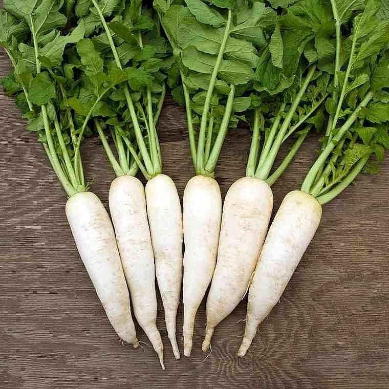 Củ cải trắng được coi là loại rau củ đặc trưng của mùa đông. Ảnh minh họa