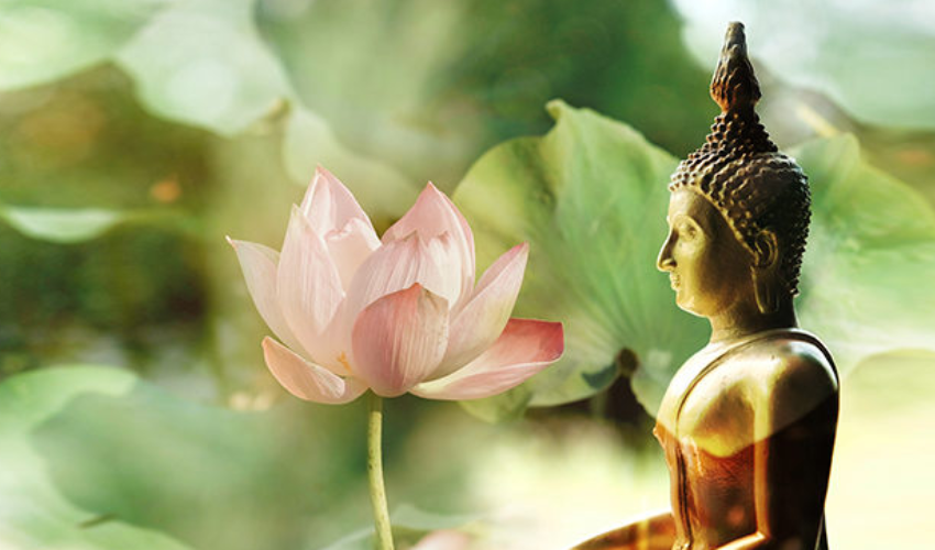 Hoa sen và Phật giáo rất gần gũi, có thể nói “hoa sen” chính là biểu tượng của “Phật”.