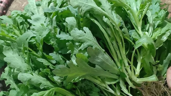 Rau cải cúc