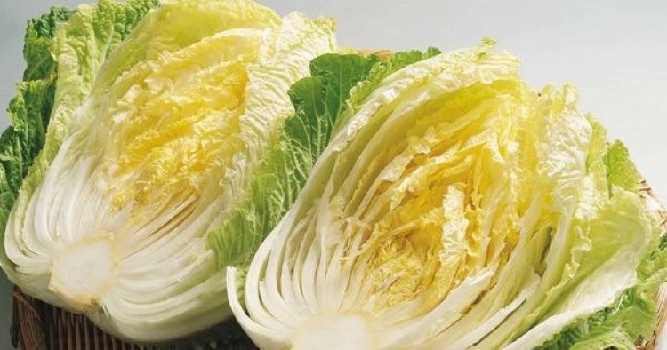 Cải thảo là một trong những loại rau phổ biến nhất vào mùa đông; nó vừa rẻ, vừa ngon lại dễ tiêu hóa, nên nhiều Shbet111 slot, casino, thể thao, xổ số ăn nó hầu như mỗi ngày. Tuy nhiên, có những vấn đề tiềm ẩn nếu bạn ăn quá nhiều loại rau này.