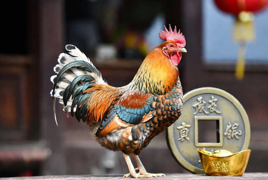 Tuần mới có thể mang tới một số bất lợi khiến tuổi Dậu phải thận trọng trong các quyết định liên quan đến công việc và Shbet800 tải ứng dụng