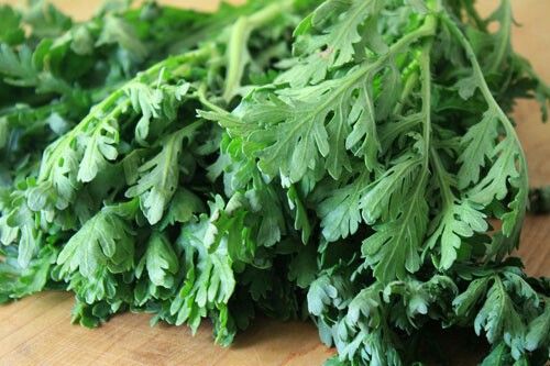 Rau cải cúc nhiều dinh dưỡng và công dụng tốt cho sức khỏe