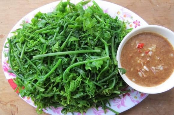 Rau dớn thường mọc ở các vùng nhiệt đới ẩm, đặc biệt là ven suối, khe núi hoặc những nơi bóng râm có độ ẩm cao.