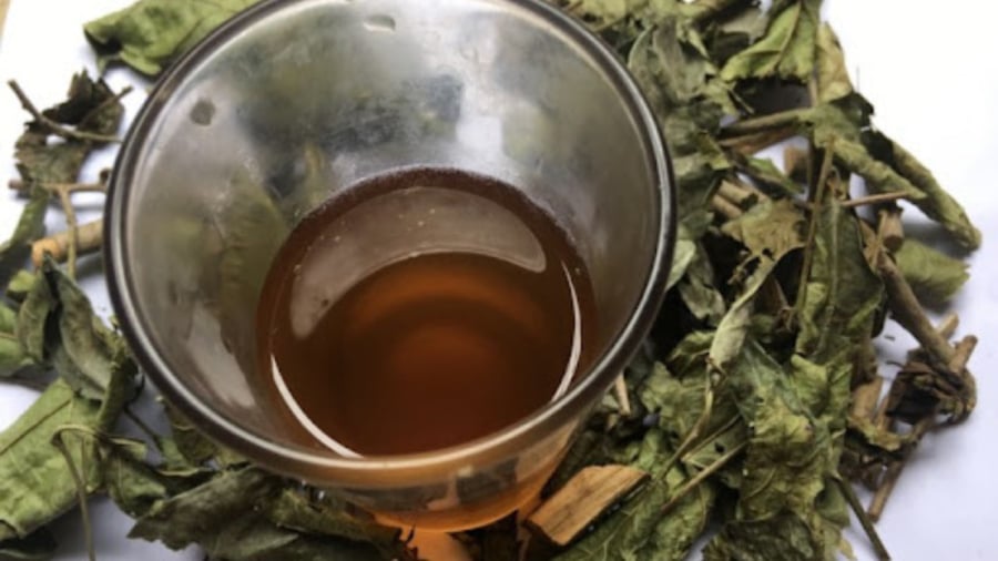Cách uống lá xạ đen giải độc Sh88bet đăng ký miễn phí, cực tốt cho gan lại giúp đẹp da, ngủ khỏe