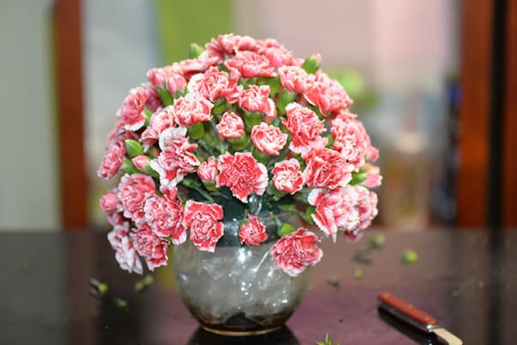 Trưng hoa cẩm chướng ở bàn ăn
