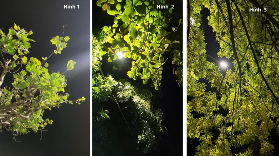 Bạn chọn hình nào?