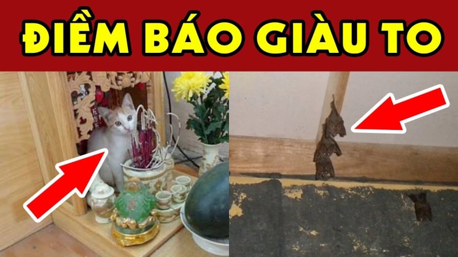 Con vật mang tới may mắn