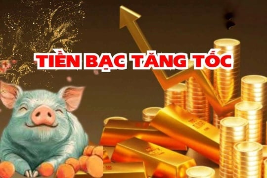 Tuổi Hợi bước vào năm 2026 với phúc khí rõ rệt. Đây là Shbet888.com nhà cái uy tín càng sống thiện, càng dễ được hưởng phần, tiền bạc không đến ồ ạt nhưng đến đều và rất chắc.