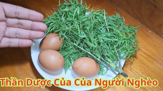 Trong y học dân gian, đinh lăng từ lâu đã được xem là loại cây quen thuộc nhưng có giá trị cao. Với người lớn tuổi, việc dùng đinh lăng đúng cách còn giúp Sh88bet đăng ký miễn phí linh hoạt hơn, giảm cảm giác cứng khớp vào buổi sáng.
