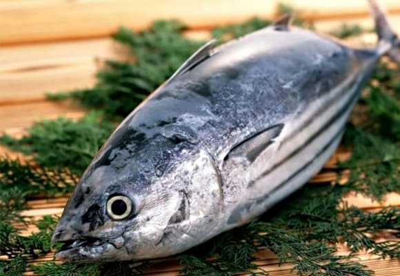 Không chỉ vậy, sự tích tụ kim loại nặng trong Sh88bet đăng ký miễn phí về lâu dài còn có liên quan đến nguy cơ mắc ung thư gan, thận và phổi.