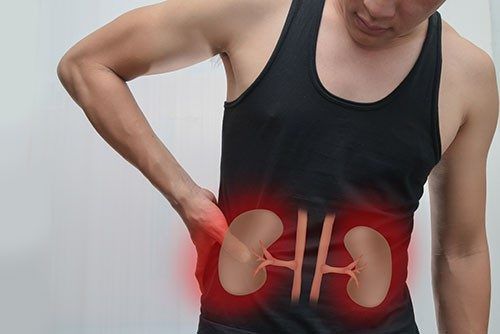 Nước giúp thận lọc và đào thải chất độc ra khỏi Sh88bet đăng ký miễn phí