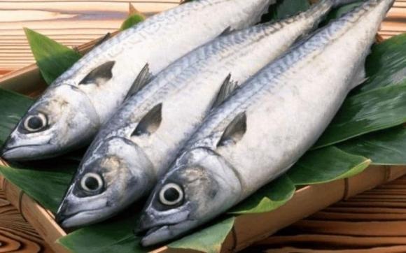 Cá thu nổi bật trong nhóm cá biển nhờ chứa nhiều omega-3, vitamin B12 và selenium.