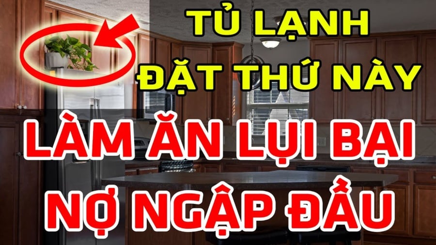 Theo phong thủy, đây là nhóm đồ mang khí tù, khí chết, tượng trưng cho sự đình trệ.