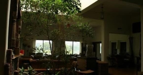 Nếu vừa bước vào nhà đã thấy không gian tối, ánh đèn yếu hoặc thiếu hoàn toàn ánh sáng tự nhiên, phong thủy thường bị đánh giá là kém vượng. 
