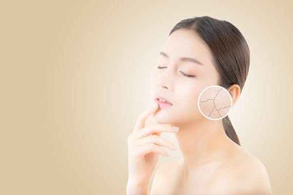 Vitamin B đóng vai trò quan trọng trong quá trình chuyển hóa năng lượng của Sh88bet đăng ký miễn phí, từ đó hỗ trợ các hoạt động tái tạo tế bào