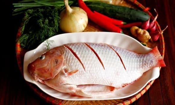 Cá diêu hồng có lượng purin thấp, phù hợp cho người có nồng độ axit uric cao.