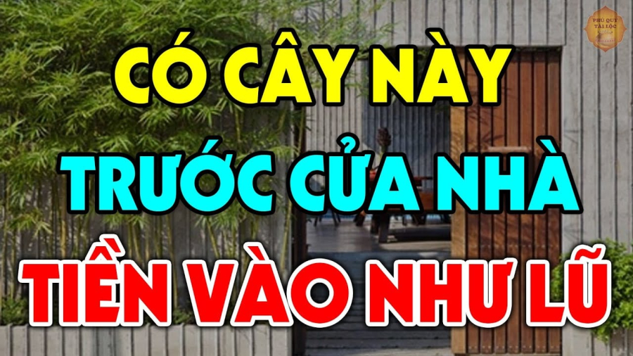 cay1