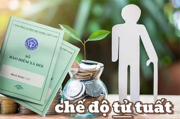 Thứ nhất, về trợ cấp mai táng Người trực tiếp lo mai táng cho người đang hưởng lương hưu khi qua đời sẽ được nhận trợ cấp mai táng theo mức do pháp luật quy định tại thời điểm giải quyết chế độ.    