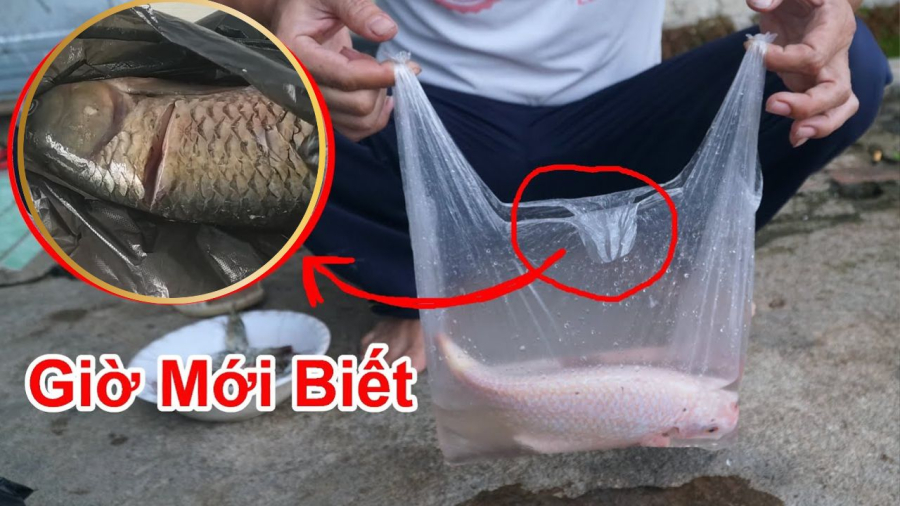 Thoạt nhìn, đây chỉ là một thói quen buôn bán lâu năm, nhưng thực tế, chiếc túi đen này lại đóng vai trò quan trọng hơn nhiều so với tưởng tượng.