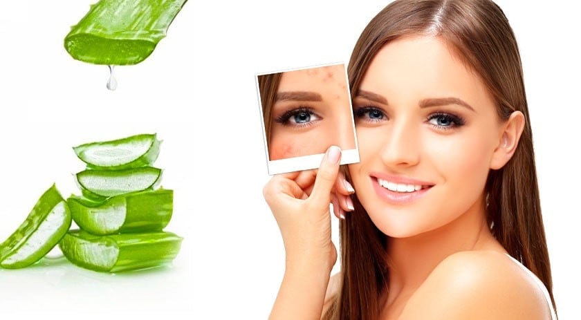 Gel lô hội là thành phần quen thuộc trong nhiều sản phẩm chăm sóc da nhờ khả năng làm dịu và cấp ẩm hiệu quả. 