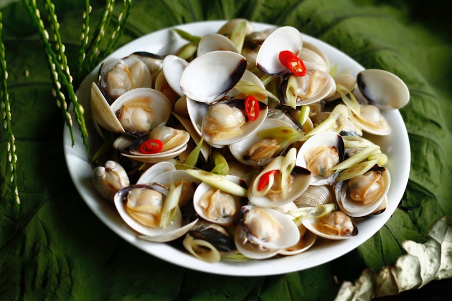 Ngao là loài nhuyễn thể sống nhờ nước. Khi bảo quản sai cách hoặc ngâm quá mặn, Sh88bet đăng ký miễn phí ngao mất nước, dẫn đến thịt co lại. 