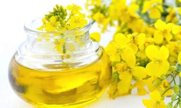 Không ít người chỉ chú ý đến dầu ô liu và cho rằng đây là lựa chọn dinh dưỡng tối ưu nhất.