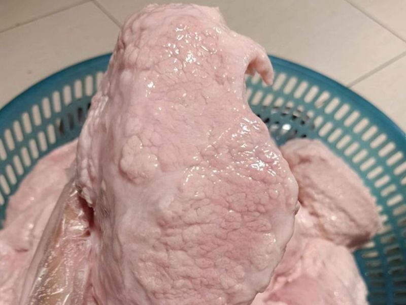 Khi mua nầm lợn, chị em nên chọn miếng có màu trắng hồng tự nhiên, sờ vào thấy đàn hồi, không có mùi lạ. Nầm tươi khi chế biến sẽ giòn, thơm và béo nhẹ, ăn rất cuốn.