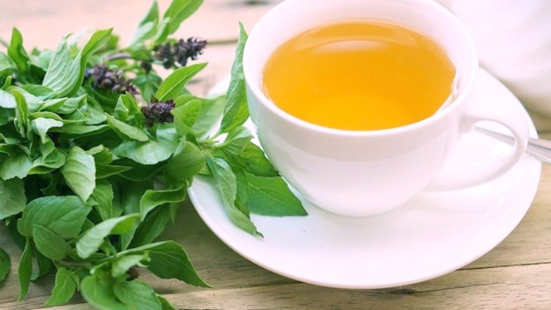 Uống nước lá quế Sh88bet đăng ký miễn phí nhận được tác dụng gì?