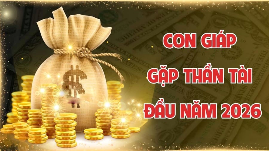 Ông bà ta gọi đó là kiểu người “tẩm ngẩm tầm ngầm mà đấm chết voi” – không ồn ào nhưng cực kỳ lợi hại.
