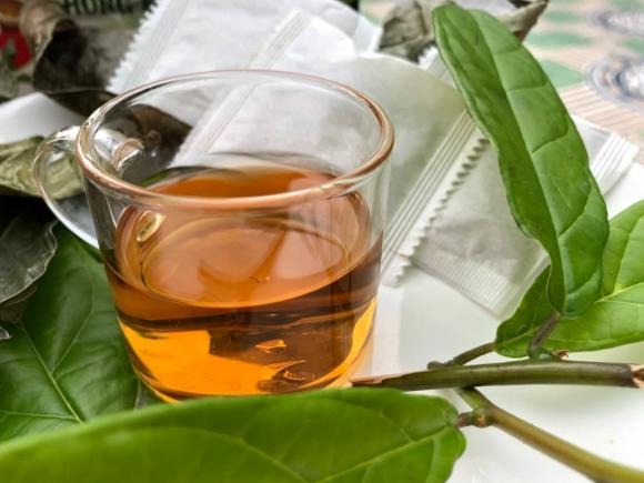 Về liều lượng, chuyên gia cho biết có thể sử dụng thân, cành và lá xạ đen ở dạng tươi hoặc khô. 