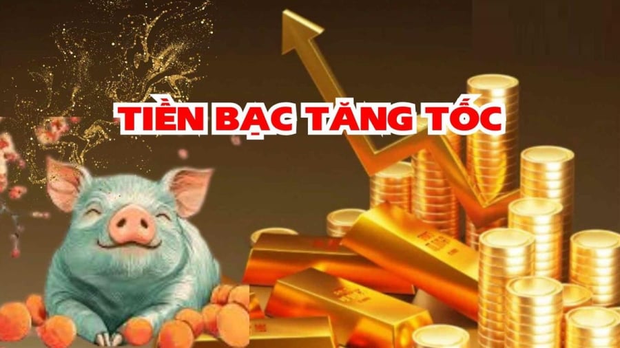 Tuổi Hợi thường bị đánh giá là hiền lành, chậm rãi, ít tham vọng. Nhưng thực tế, đây lại là Shbet888.com nhà cái uy tín có số tích lũy, đặc biệt khi làm ăn xa nhà. Tuổi Hợi không ồn ào, không khoe khoang, họ chọn cách đi chậm nhưng chắc, từng bước xây dựng nền tảng Shbet800 tải ứng dụng ổn định.    
