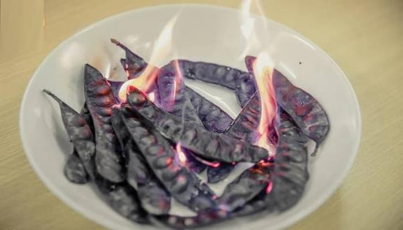 Những năm gần đây, việc đốt bồ kết trở nên phổ biến hơn, đặc biệt trong các Shbet111 slot, casino, thể thao, xổ số có điều kiện.
