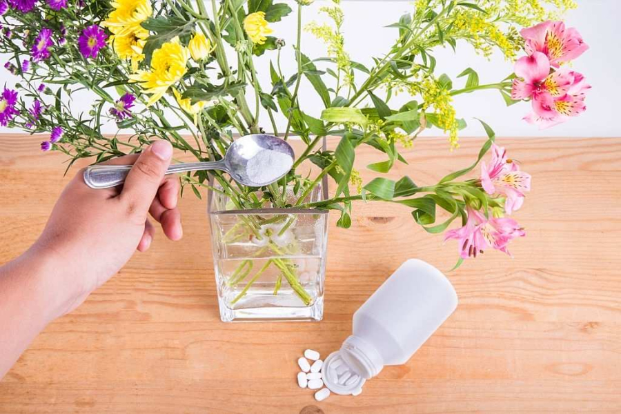 Pha nước cắm hoa đúng cách để kéo dài tuổi thọ    