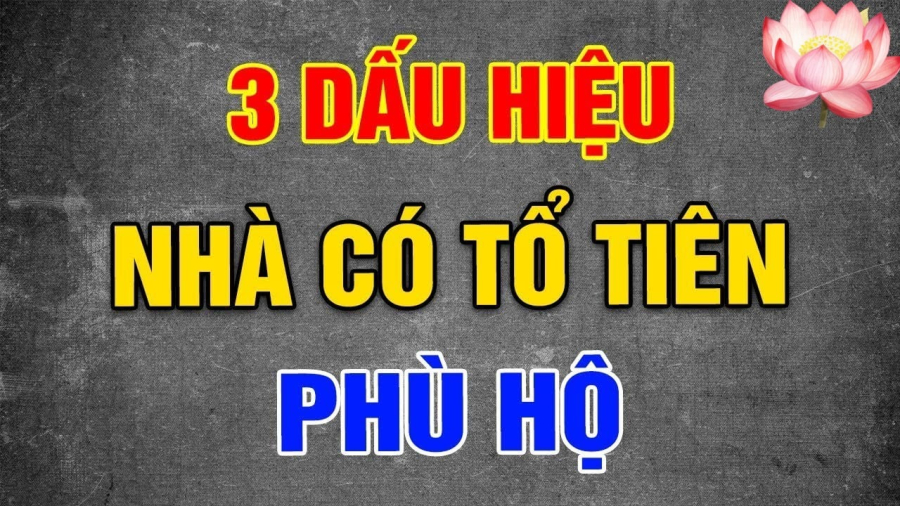 to tien