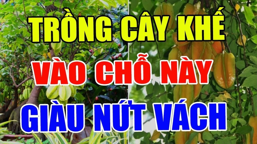 trong khe