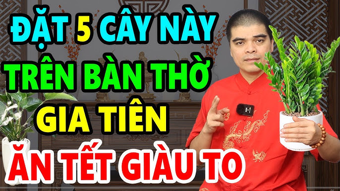 cay1
