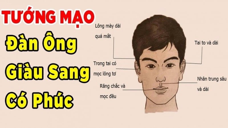 tuong