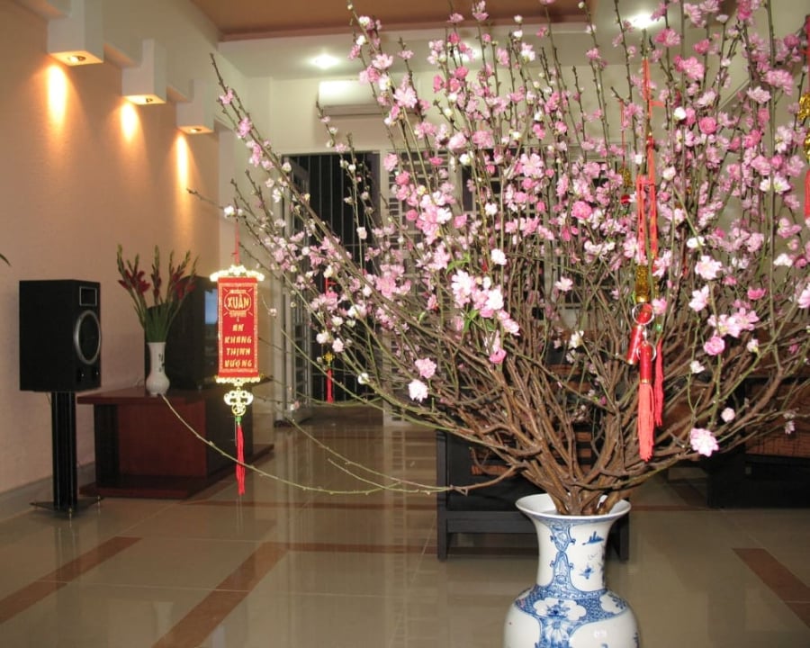 Hoa đào là loại hoa truyền thống vào dịp Tết của người miền Bắc