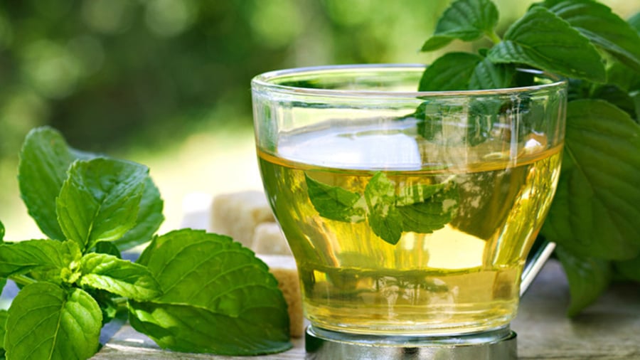 Hương thơm mát đặc trưng của bạc hà còn giúp kiểm soát cảm giác thèm ăn, đặc biệt là các món nhiều đường hoặc dầu mỡ, từ đó hỗ trợ duy trì chế độ ăn cân bằng.