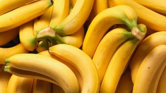 Chuối khi vào Sh88bet đăng ký miễn phí được tiêu hóa khá nhanh nên nhìn chung có lợi cho hệ tiêu hóa nếu dùng với lượng vừa phải.